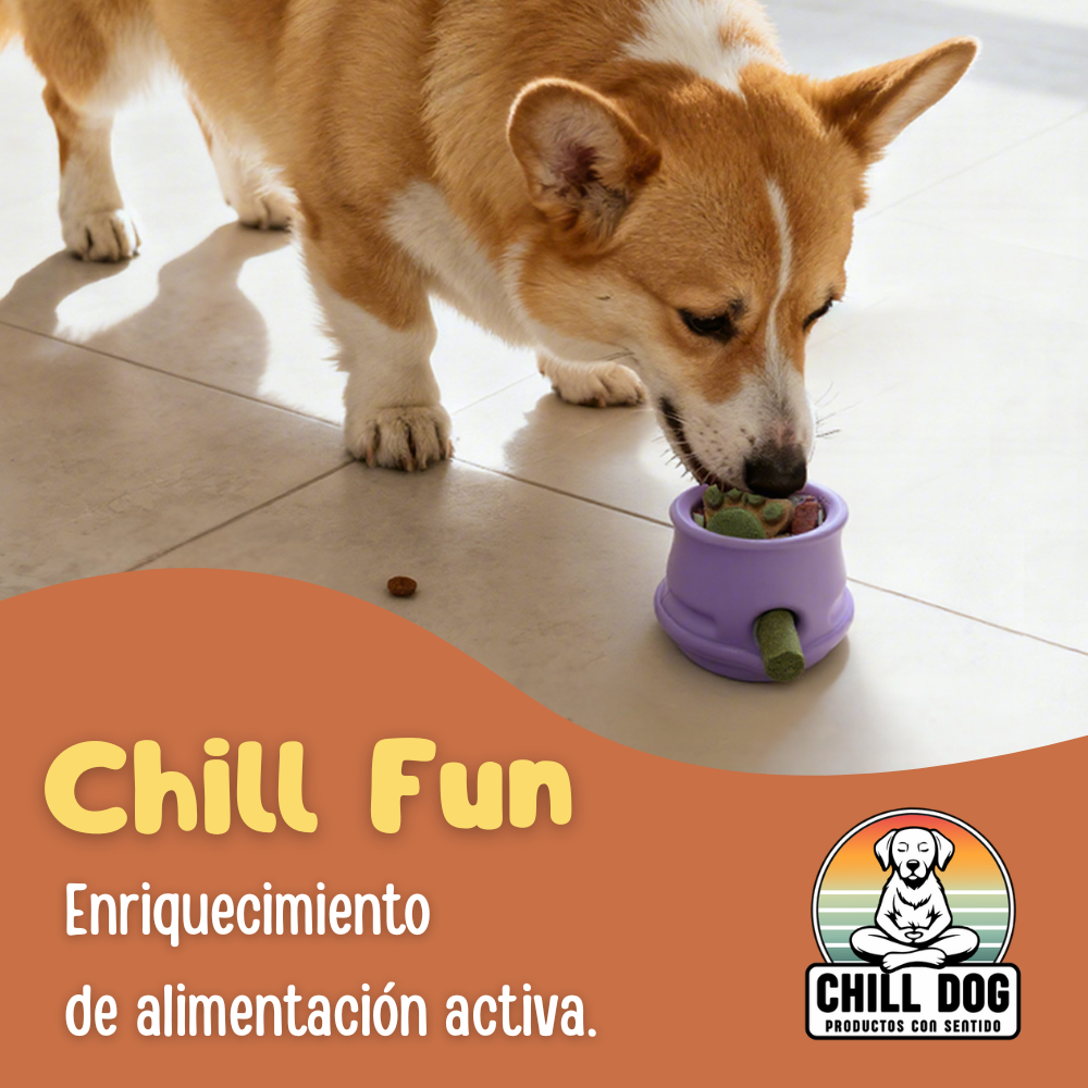 Chill Cup